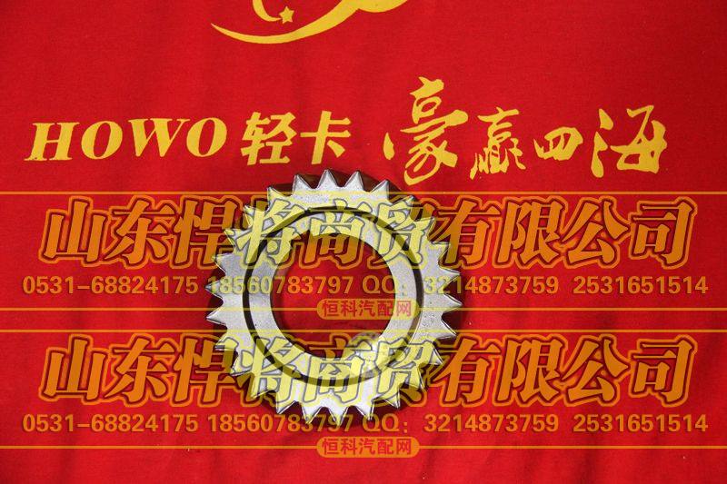 6TS55-2311中间轴三档齿轮