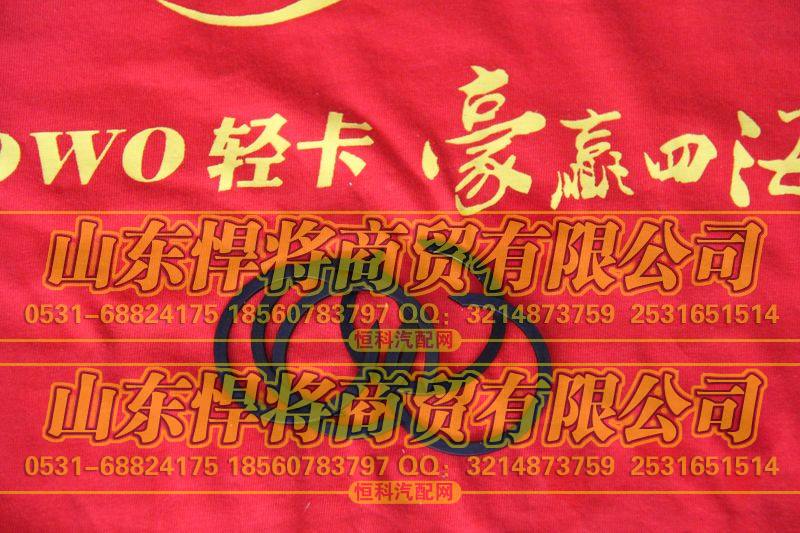 WB43345×2挡圈【HOWO豪沃轻卡】