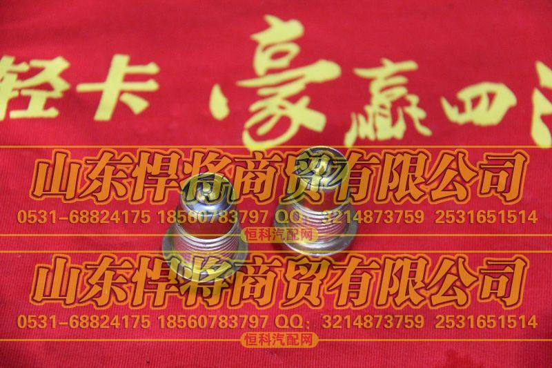 自锁装置【HOWO豪沃轻卡】