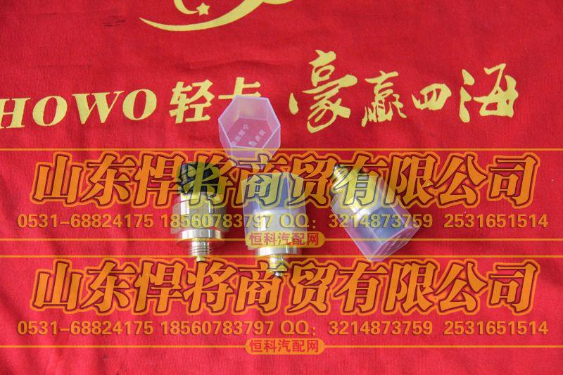 倒车灯开关（常开）【HOWO豪沃轻卡】