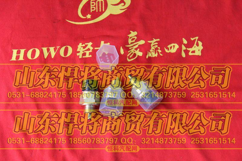 AZ2209286005空档开关【HOWO豪沃轻卡】