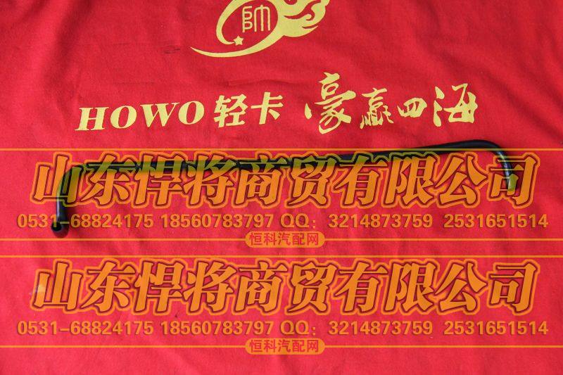 WG2229250395低档成型软管【HOWO豪沃轻卡】