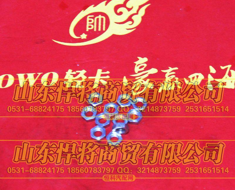LG9700360511管接头用六角薄螺母 HOWO豪沃轻卡