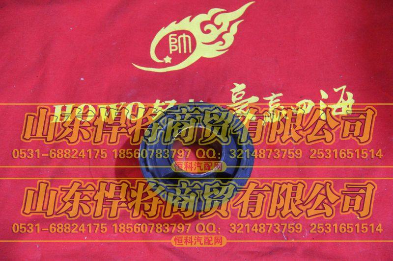 LG1611430035橡胶衬套总成【HOWO豪沃轻卡】