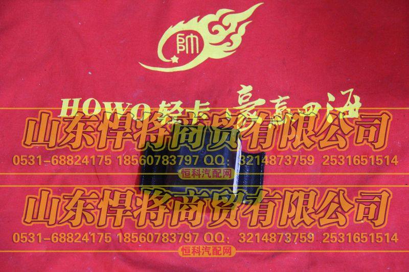LG9705520003前簧压板总成【HOWO豪沃轻卡】