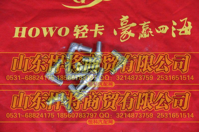 LG9700360542卡套式端直角接头体HOWO豪沃轻卡