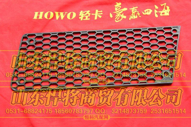 LG1613240005宽体保险杠左装饰网【HOWO豪沃轻卡