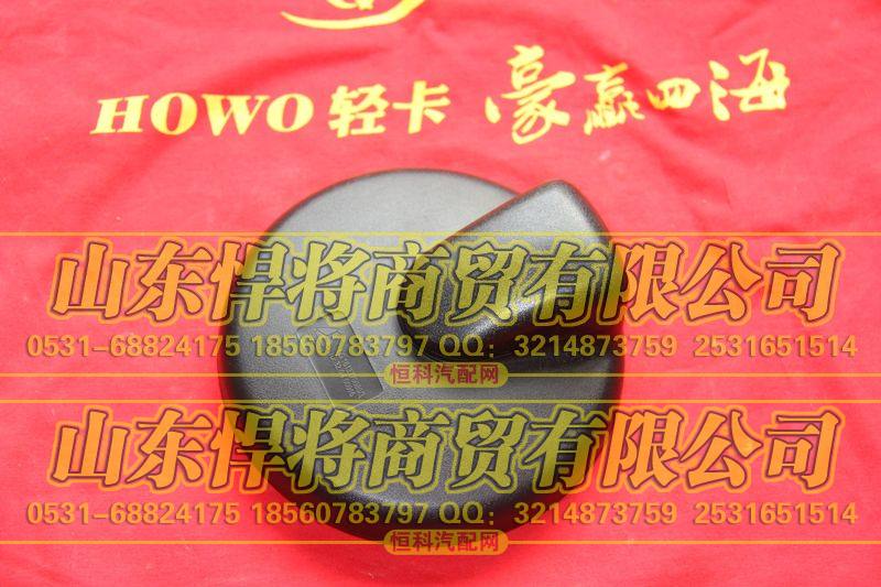 LG1613770080前下视镜框架式【HOWO豪沃轻卡】