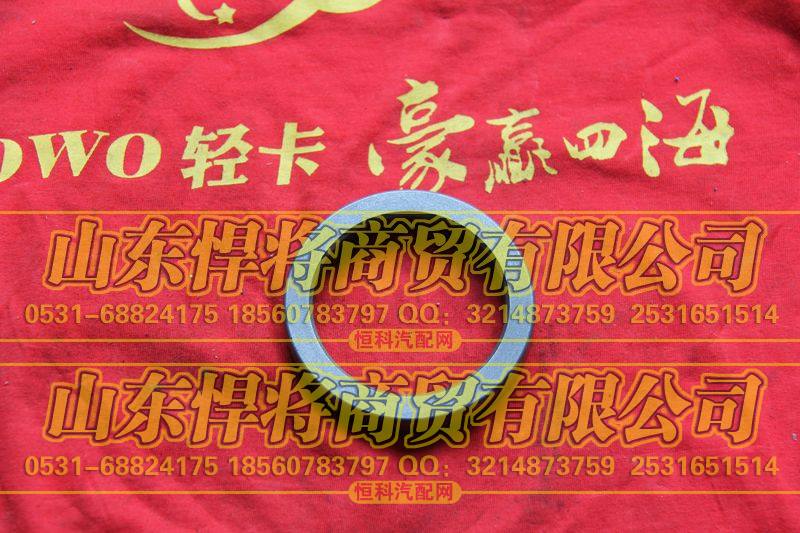 24Q-01084后轮毂外油封座圈【HOWO豪沃轻卡】