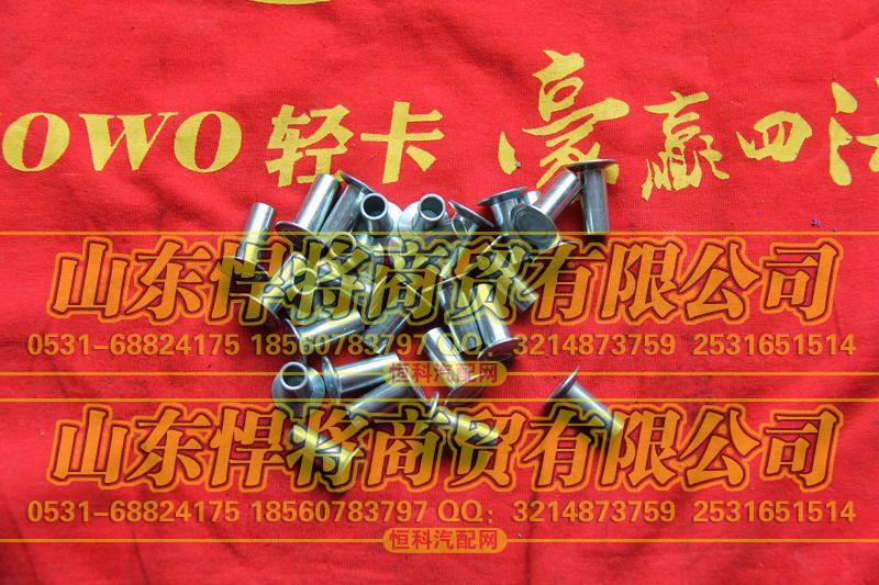 102013010-08铆钉【HOWO豪沃轻卡】