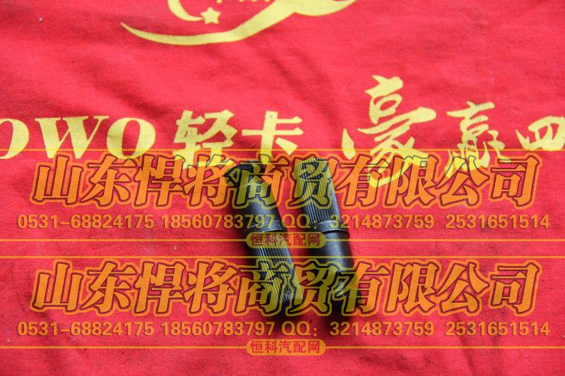 102013010-09挂簧柱【HOWO豪沃轻卡】