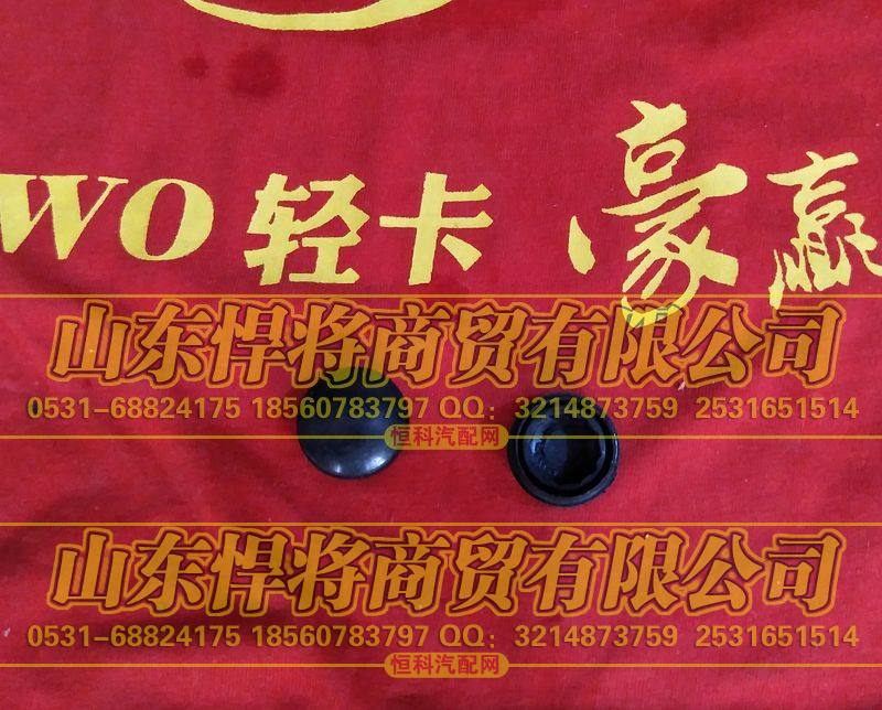 LG1611740060刮水器臂装饰盖【HOWO豪沃轻卡】