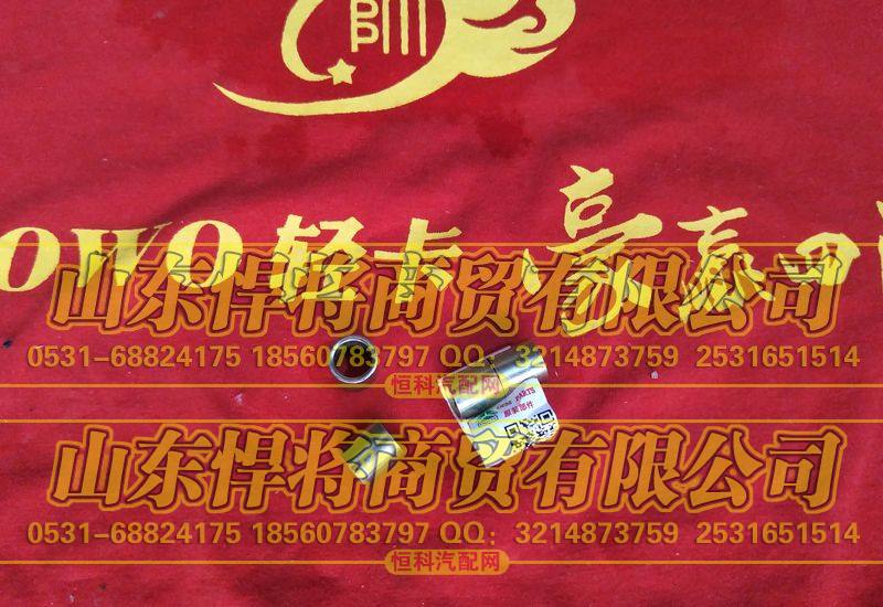 LG9704560021M8套管【HOWO豪沃轻卡】