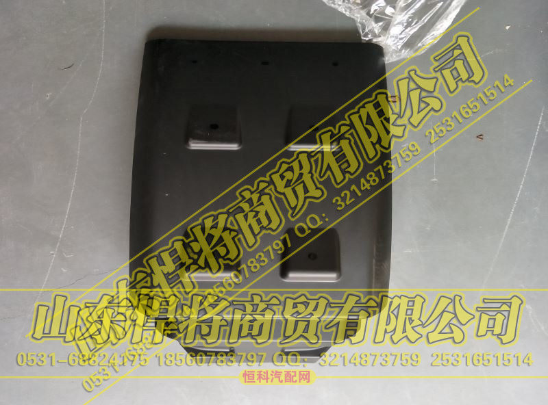 LG1611230010&191,HOWO豪沃轻卡后翼子板总成,山东悍将商贸有限公司