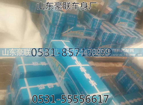 ,重汽豪沃 陕汽德龙  奥龙底盘配件轮胎,山东豪联车身制造厂