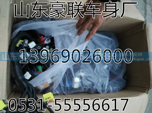 陕汽德龙F3000驾驶室线束总成底盘线厂家价格图片,陕汽德龙F3000驾驶室线束总成底盘线厂家价格图片,山东豪联车身制造厂