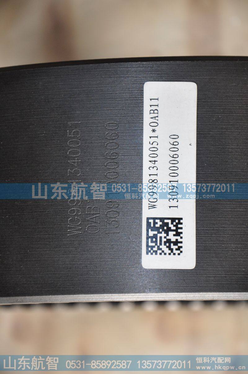 WG9981340051内齿圈(Z=56)