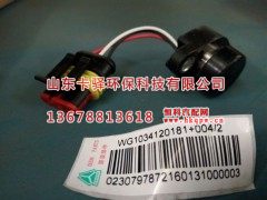 WG1034120181+004,尿素压力传感器,山东卡驿环保科技有限公司