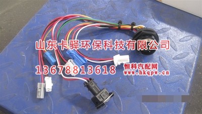 WG1034131181+011,泵内线束（非加热）,山东卡驿环保科技有限公司