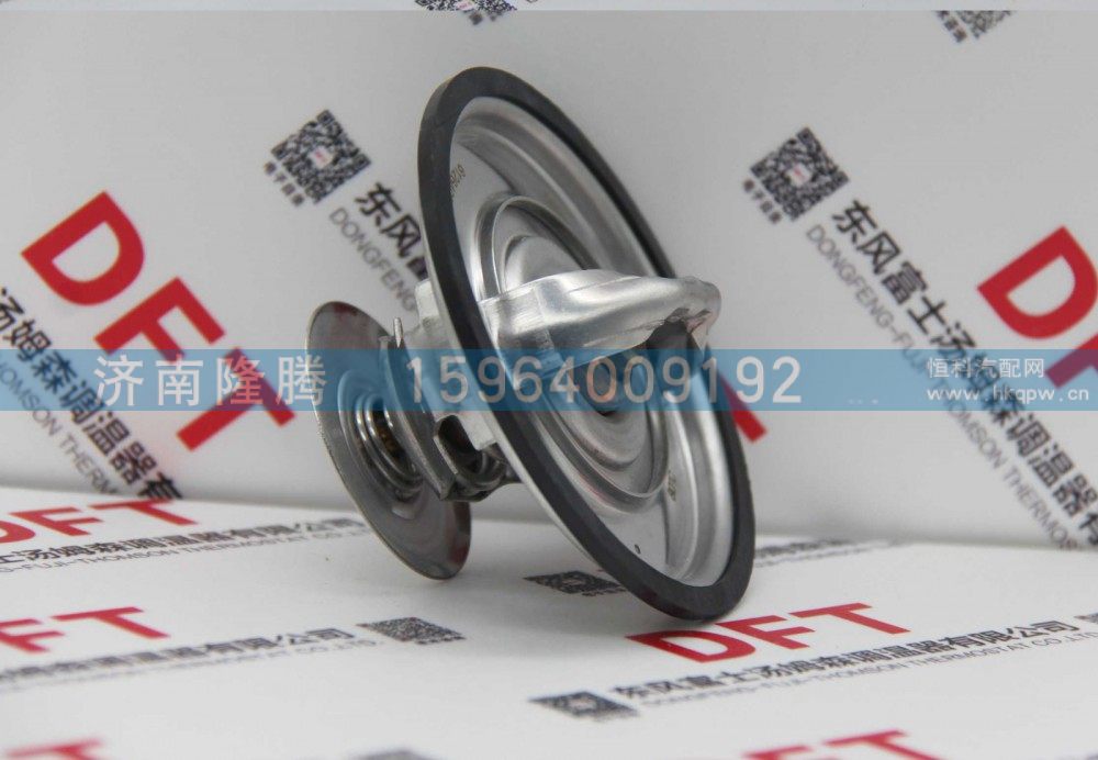 WP10系列節(jié)溫器612640060248/612640060248