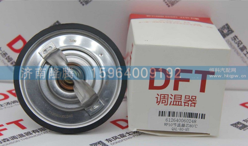 WP10系列節(jié)溫器612640060248/612640060248