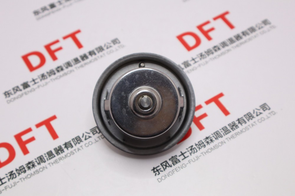 MC05 07节温器芯83℃ 081V06402-0099/081V06402-0099