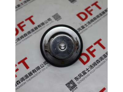6396493,,山东隆腾汽车科技有限公司