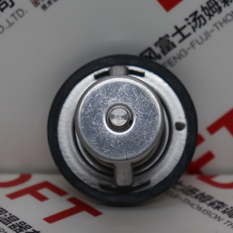 北汽福田节温器芯76℃ E049151000024/E049151000024