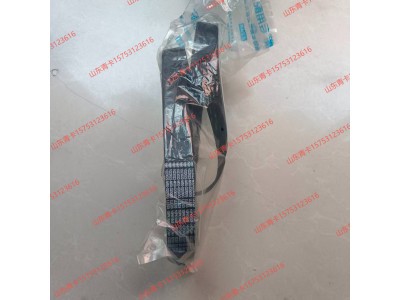 1023022-M50-02000G 解放 JH6 / J7多楔皮带图2