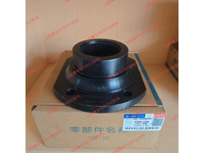 2402066ZA9T,2402066ZA9T 后桥输入突缘 凸缘总成,山东青卡汽车配件有限公司