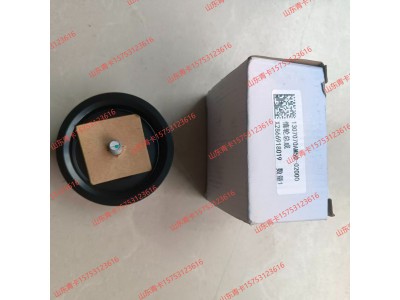 1307070AM50-02000,1307070AM50-02000 惰轮总成 发动机多楔带槽式惰轮总成,山东青卡汽车配件有限公司