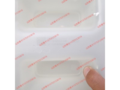 1311020-BZ229,1311020-BZ229膨胀水箱总成,山东青卡汽车配件有限公司