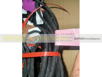 H437400002451,车身主线束,山东勤智德道汽车销售有限公司