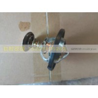 3696215  节温器