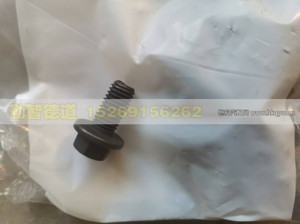 3903990 六角头法兰帽螺钉