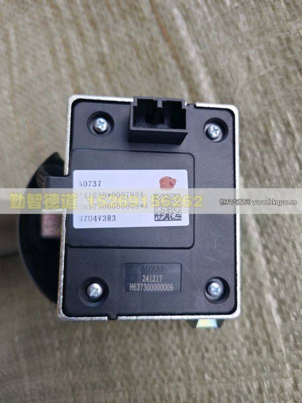 H637300000009,,山东勤智德道汽车销售有限公司