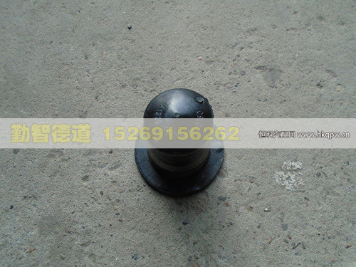 1B24950200160,,山東勤智德道汽車(chē)銷(xiāo)售有限公司