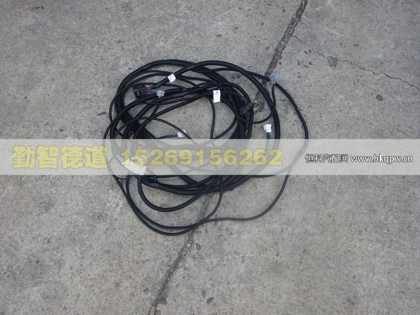 车架线束(2)