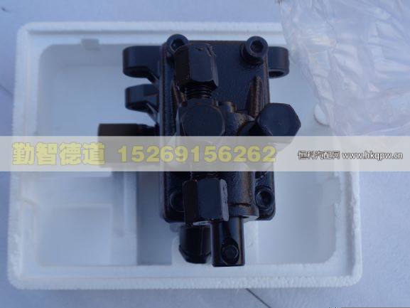 1B24950200265,,山東勤智德道汽車銷售有限公司