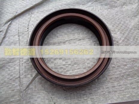 ZL300S1-2510202,,山东勤智德道汽车销售有限公司