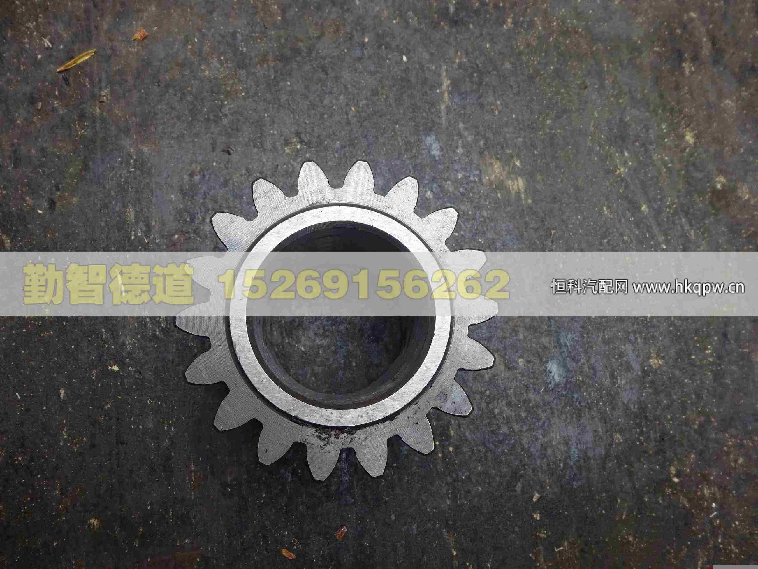 ZL300S1-2405001A,,山東勤智德道汽車銷售有限公司