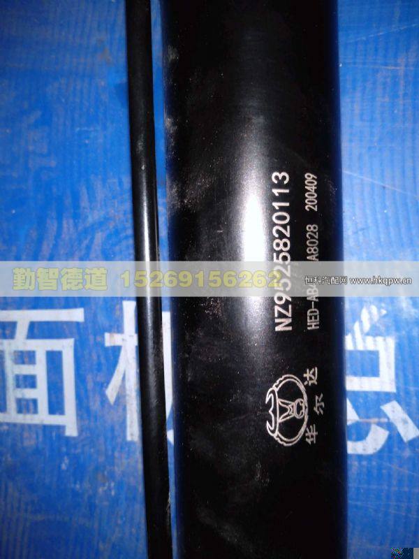 NZ9525820113,,山東勤智德道汽車銷售有限公司