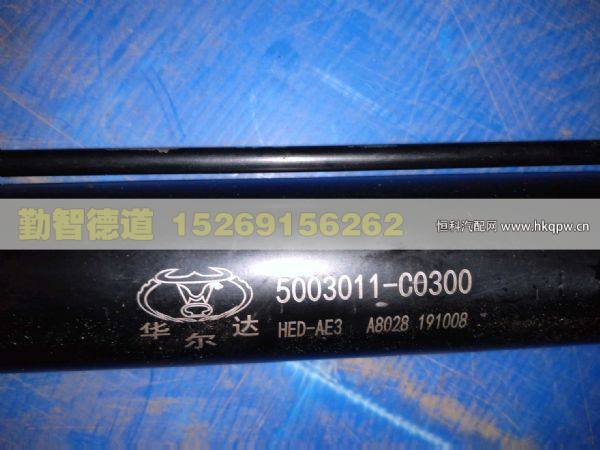 5003011-C0300,,山東勤智德道汽車銷售有限公司
