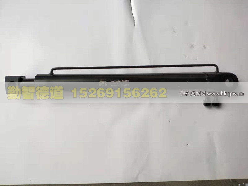 5003010-C0100,,山东勤智德道汽车销售有限公司