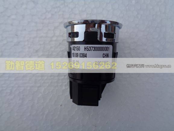 H537300000001,,山东勤智德道汽车销售有限公司