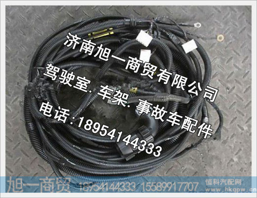 陕汽德龙M3000底盘线束SZ979000983