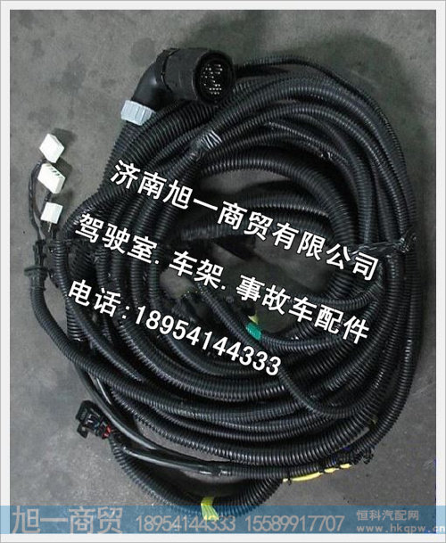 陕汽德龙MAN车架线束DZ95189774371