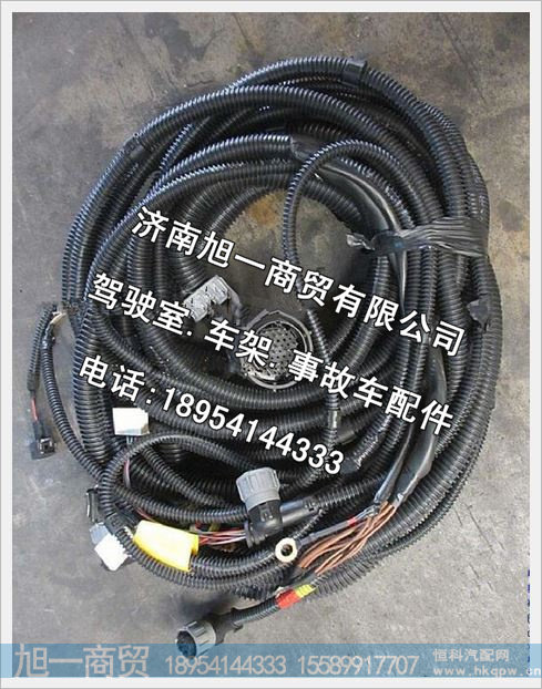 陕汽德龙MAN车架线束DZ95259774012