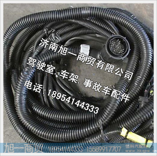 陕汽德龙MAN车架线束DZ95259774014