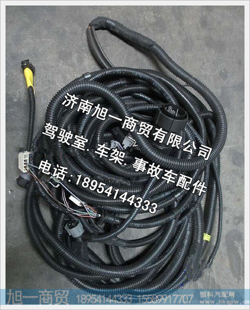 陕汽德龙奥龙MAN车架线束DZ95319771000